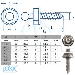 LOXX vis avec bois filetage 4,2 x 16 mm - Laiton nickler