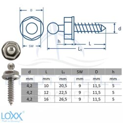 Loxx® vis avec bois filetage 4,2 mm - Acier Inoxydable