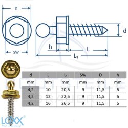 LOXX® Blechschrauben 4,2 mm - Messing blank/Gewinde...