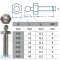 LOXX® screw with metric thread M4 - M6  - Stainless steel