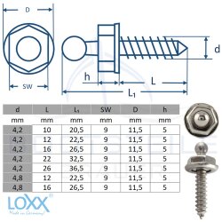 LOXX Holzschraube 4,8 x 12 mm - vernickelt